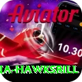 antigua hawksbill Premium v4.2.5