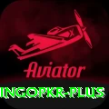 bingopkr Deluxe Edition v1.3.6