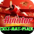 cricket bat Slot Machine Premium