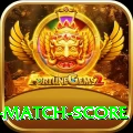 cricket match score Pro