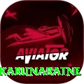 dimuth karunaratne Deluxe v1.1.2