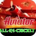 fastest ball in cricket Premium v3.3.2