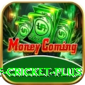 god of cricket Turbo Casino App