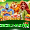 india cricket match Turbo Pro v2.4.8
