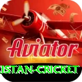 india pakistan cricket Ultimate v4.6.6