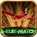 india test match Deluxe Edition v1.4.6