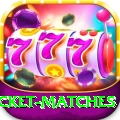 india upcoming cricket matches Plus Edition v2.4.5