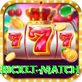 international cricket match Premium Plus v5.7.0