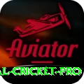 international cricket Super Gaming App