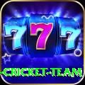ireland cricket team Plus Pro v4.0.2