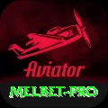 melbet Master 2024