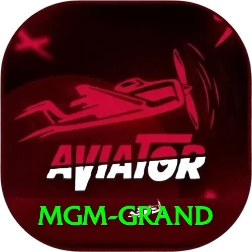 mgm grand Plus - 2