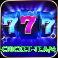 mumbai cricket team Plus v1.9.5