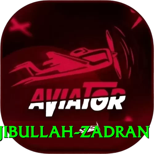 najibullah zadran Plus Pro v2.5.9 - 2