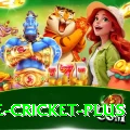 one cricket - Slots Prime