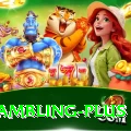 online gambling Premium PK v5.2.3