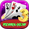 pkwin Apps (Tools & Injectors) Turbo vv4.7.5