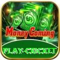 play cricket Premium Plus v2.5.5