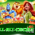 risk free bet cricket Ultimate v3.7.5