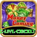 smartcric live cricket Plus