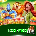 t20 - Gaming Royal