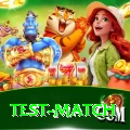 test match Premium Plus v2.2.9