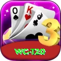 wc t20 Deluxe Edition v3.9.8