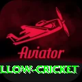 willow cricket Max v3.7.5